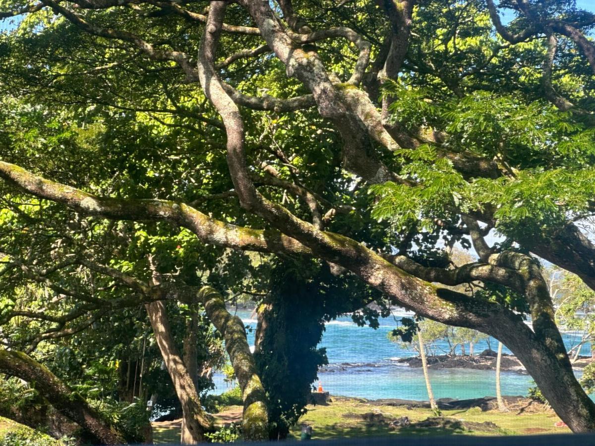 Ocean View Mauna Loa Shores Kai Ekahi #201 Next To Carlsmith Beach Park Hilo Hi Exterior foto