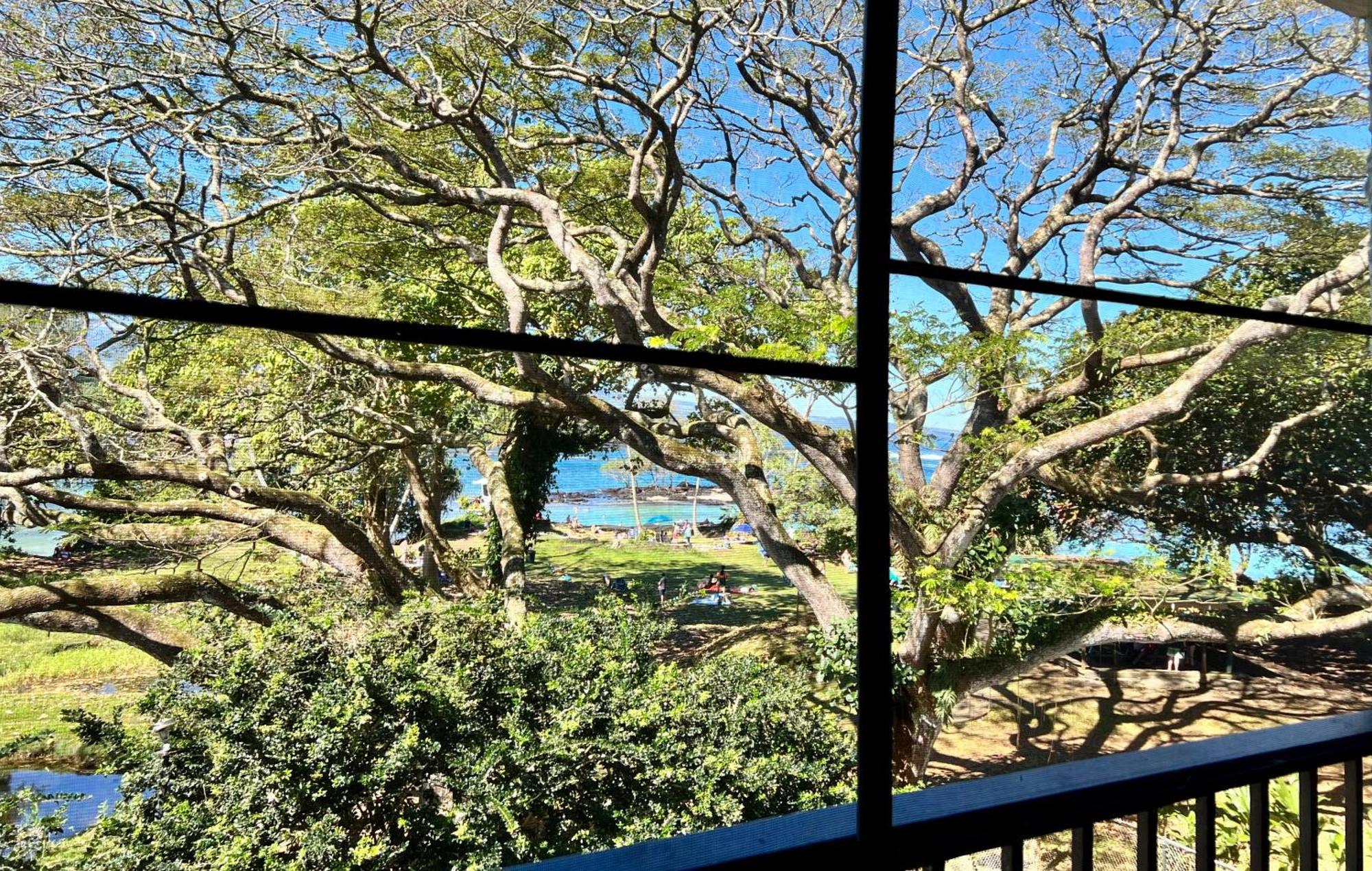 Ocean View Mauna Loa Shores Kai Ekahi #201 Next To Carlsmith Beach Park Hilo Hi Exterior foto