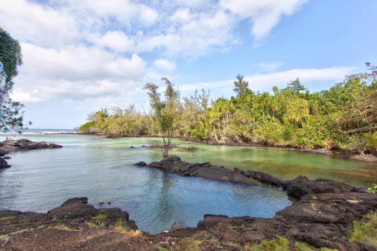 Ocean View Mauna Loa Shores Kai Ekahi #201 Next To Carlsmith Beach Park Hilo Hi Exterior foto