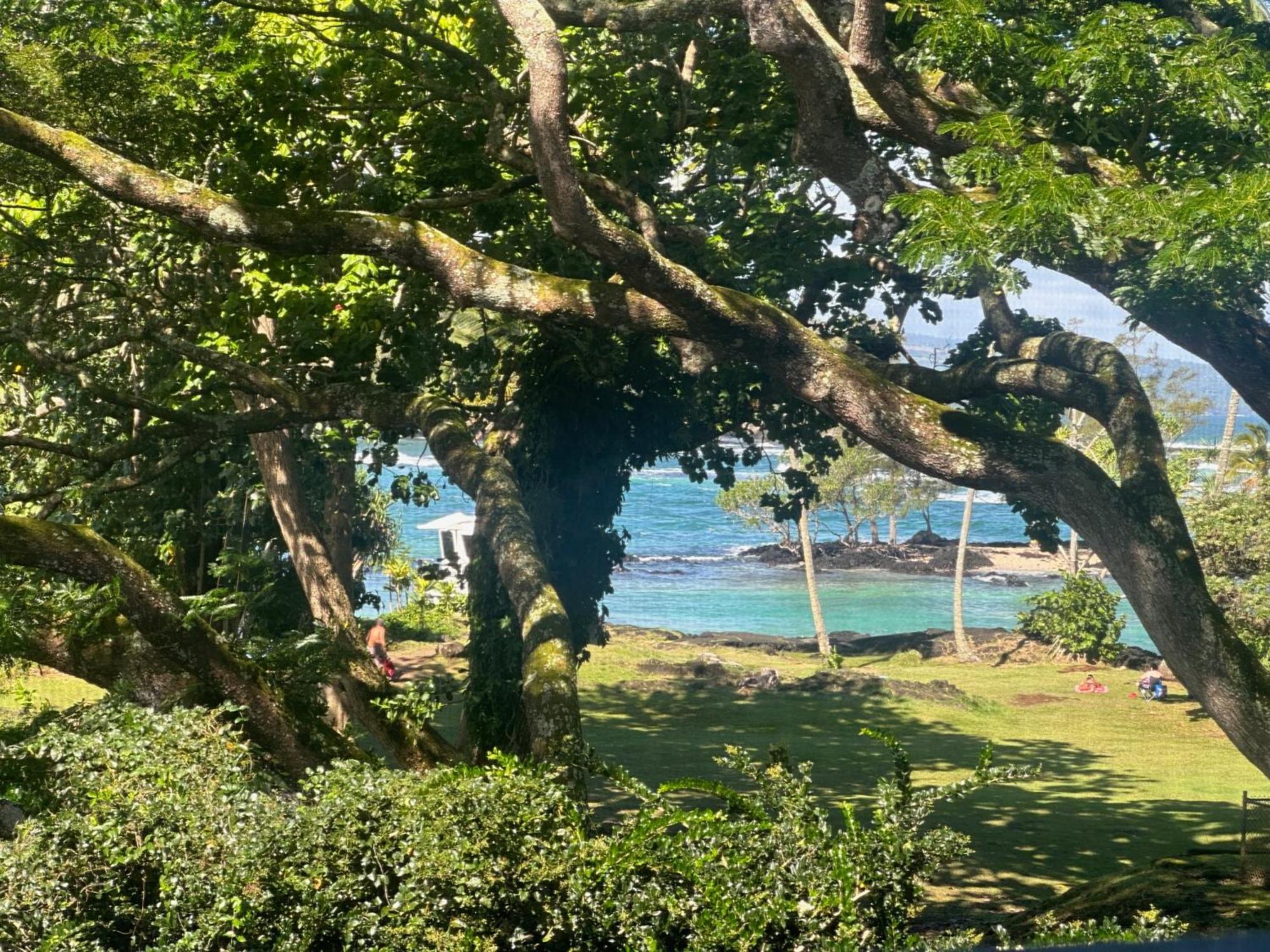 Ocean View Mauna Loa Shores Kai Ekahi #201 Next To Carlsmith Beach Park Hilo Hi Exterior foto